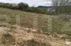 Teren intravilan de vanzare, 715 mp, in zona Valea Sigmiru - 2