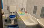 Apartament 7 Camere de vanzare Victoriei 218 mp - 11