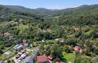 Teren Intravilan 8.277 mp Provița de Jos – Utilități, Râu & Pădure - 3