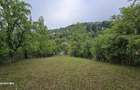 Teren vanzare Valea Doftanei - 3