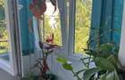 Inchiriez apartament 2 camere - 2