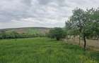Casa cu teren 4561mp, Hidiselu de Sus - 2