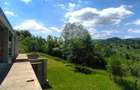 BreazaOcina de SusVila Exclusivista343 mp5000 mp Teren195.000 EUR - 8