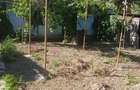 Teren intravilan cu casa si anexe - 15