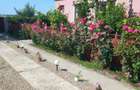 Vand Casa sat Greci comuna Osica de Sus - 1