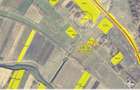 Terenuri agricole Dangeni Vlasinesti judetul Botosani - 1