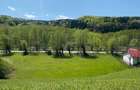 Teren Intravilan Munte - 1801mp - 2