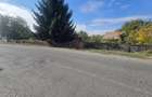 Teren intravilan 15.000 mp+casa 150mpTargu Mures,45 euro mp.
