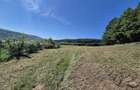 teren agricol fanat vanzare - 3