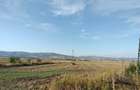 Teren intravilan, Orastie, Hunedoara 8.500 m2