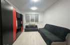 Inchiriere Apartament cu 2 camere Tatarasi - 6