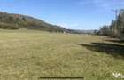 Vand pamant in apropierea Oltului 10 - 2