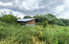 DE VÂNZARE – Domeniu cu casă, teren și afacere zootehnică avicolă în Dochia, NT - 20