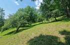 Teren intravilan Comarnic cartier Vatra sat-racordat la utilitati - 10