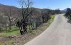 Teren 1,106mp Baia Mare / Strada Firiza - 4