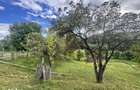 6.605 mp de natura pura refugiu, afacere sau investitie in Candest - 2