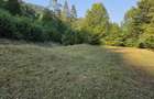 Vand teren intravilan 5.000 mp Sat Brate?, Com. Tarcau, Jud. Neam? - 4