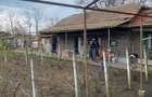 Casa batraneasca de vanzare 850m2 Prahova Boldesti