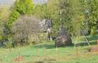 Vand teren intravilan in Valea Doftanei - 1