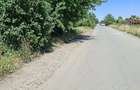 Vind teren intravilan - 4