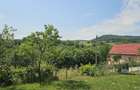 Casa 82 mp cu teren de 10.000 mp intravilan, sura si grajd - 1