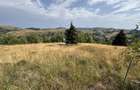 Teren intravilan 1000 mp, Muntele Baisorii, direct de la proprietar, panorama spre Scarita-Belioara - 8