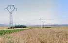 Teren Agricol 9800 mp Fratostita, front 40 m - 1