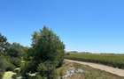Proprietar - Teren 813 mp utili + Cota Drum 173 mp - Darvari, Ciorogarla - Deschidere 28,69 m - Langa A0 - 39.900 Euro neg. - 4