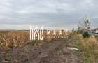 Teren de vanzare I intravilan I 20800 mp I zona vest