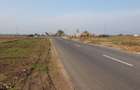 Teren Centura 10000 mp Concesiune Str Bujorului New 2026 - 4