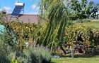 Casa cu 2 camere, teren 1000 mp, acces asfaltat
