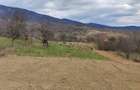 Teren de 1000 mp, în Corbeni - 4