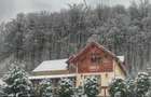 Casă cu 4 camere cu Teren 6000 Mp în Vața de Jos - 7