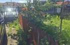Casa de vanzare cu livada, fanta, 98 mp, Str. Principala - Coada Malul - 8