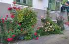 Casa in satul Colun ,cu D+P inalt ,sura mare si 1100mp teren - 4