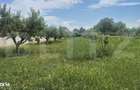 Proprietate de vanzare, teren 5488 mp, localitatea Ambud, comuna Paule - 9