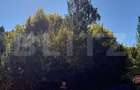 Teren intravilan, 2.000 mp, zona Geamana - Codlea