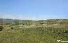 Teren extravilan 6 ha, Stejeris, com Moldovenesti - Moldovenesti (Cluj)