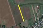 Teren extravilan Balta Doamnei - 6