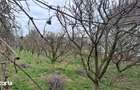 RECO Casa de vanzare in Inand - 3