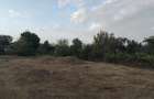 Loc de casa cu proiectul platit - 4