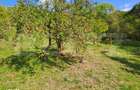 Casa de vanzare, 100 mp, teren 10.000 mp, zona Almasu Mare - 7