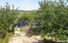 Ferma Calugareni 11860 mp 100 000 Euro - 5