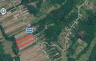 Proprietar - Vand teren intravilan 9230 mp in comuna Cocu, Arges - 1