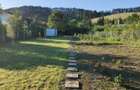 Teren intravilan 1000 mp | Sanpetru | Utilitati bransate | Front 16 M - 3