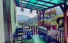 Casa si padure de vanzare in satul Mada comuna Balsa - 7