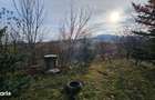 Teren extravilan 10,791mp Falticeni / Strada DJ209A, Opriseni