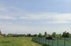 Teren intravilan de vanzare 1.552 mp Cornetu, Ilfov - 5