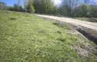 Vand teren pe Transapuseana in Ponor 3510mp - 4
