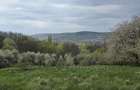 Teren cu vedere panoramica de vanzare in Chinteni - 6